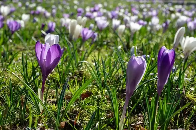 비아그라 사이트, 온라인 의약품 유통 구조를 이해하면 보이는 것들